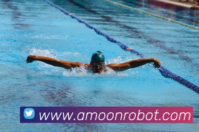 九游网官网网页版平台生态图